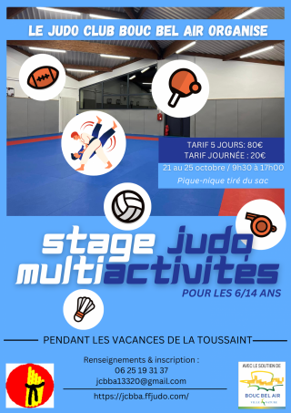 Image de l'actu 'Stages Judo Multi-Activités'